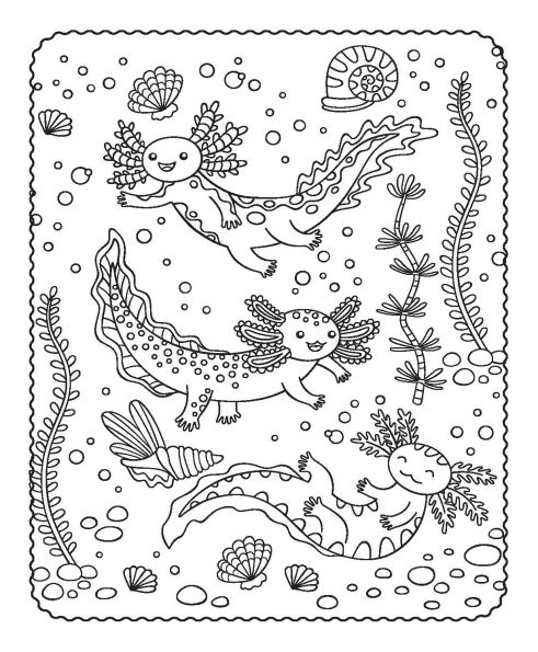 Activity Folder - Axolotl Buddies
