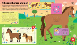 Alternative view 2 of All About Horses & Ponies: Lift-the-Flap Book: Board Book with Over 50 Flaps to Lift!