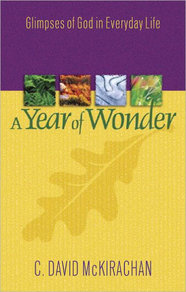 A Year of Wonder: Glimpses of God in Everyday Life