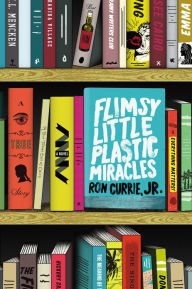 Flimsy Little Plastic Miracles: A Novel