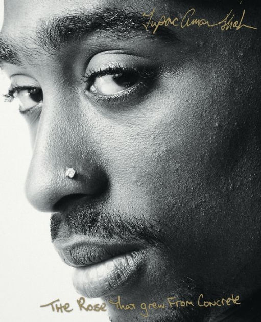 tupac shakur s the rose that grew 18 quotes from the rose that grew from concrete: ‘did you hear about the rose that grew from a crack in the concrete proving nature's laws wrong, it lea. tupac shakur s the rose that grew 18 quotes from the rose that grew from concrete: ‘did you hear about the rose that grew from a crack in the concrete proving nature's laws wrong, it lea.