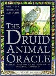 Alternative view 1 of Druid Animal Oracle