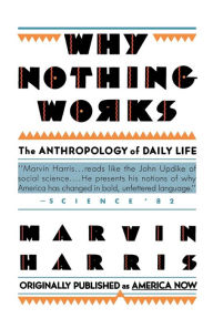 Why Nothing Works: The Anthropology of Daily Life
