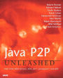 Java P2P Unleashed: With JXTA, Web Services, XML, Jini, JavaSpaces, and J2EE