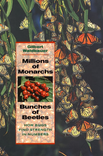 Millions of Monarchs, Bunches of Beetles: How Bugs Find Strength in Numbers