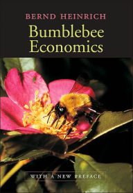 Bumblebee Economics: With a New Preface, Revised Edition / Edition 2