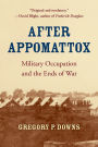 After Appomattox: Military Occupation and the Ends of War