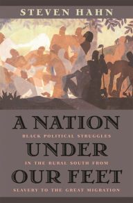 Title: A Nation under Our Feet: Black Political Struggles in the Rural South from Slavery to the Great Migration, Author: Steven Hahn