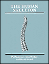 The Human Skeleton / Edition 1