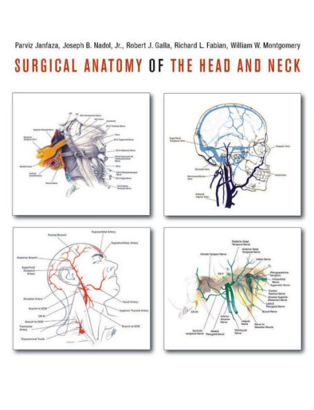 Surgical Anatomy of the Head and Neck