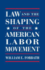 Law and the Shaping of the American Labor Movement