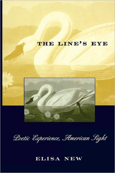 The Line's Eye: Poetic Experience, American Sight