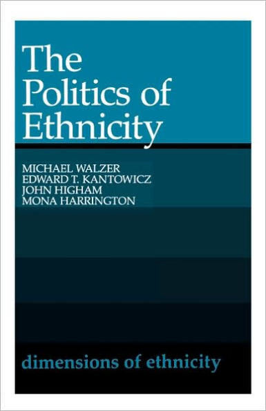 The Politics of Ethnicity / Edition 1