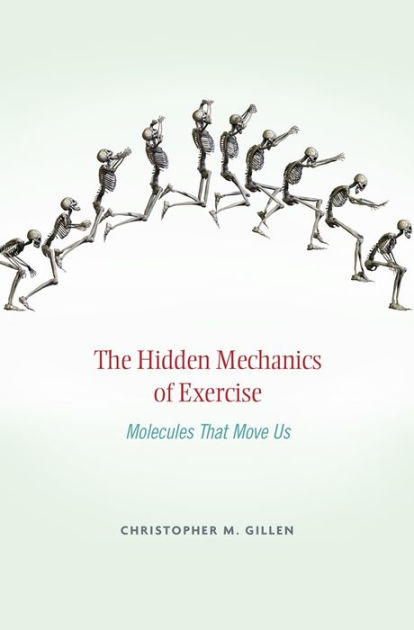 The molecular athlete: exercise physiology from mechanisms to medals