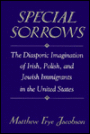 Special Sorrows: The Diasporic Imagination of Irish, Polish, and Jewish Immigrants in the United States / Edition 1