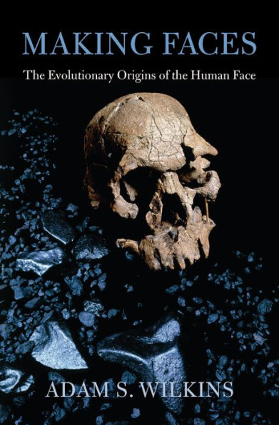Making Faces: The Evolutionary Origins of the Human Face