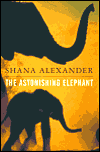 The Astonishing Elephant