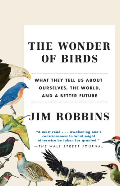 The Wonder of Birds: What They Tell Us About Ourselves, the World, and a Better Future