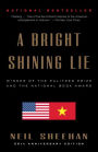 A Bright Shining Lie: John Paul Vann and America in Vietnam