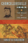 Chancellorsville 1863: The Souls of the Brave