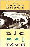 Big Bad Love : Stories