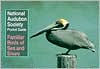 National Audubon Society Pocket Guide to Familiar Birds of Sea and Shore