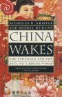 China Wakes: The Struggle for the Soul of a Rising Power