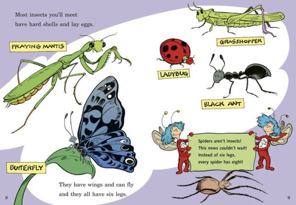 On Beyond Bugs! All About Insects