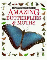 Amazing Butterflies and Moths