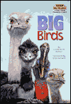 Big Birds