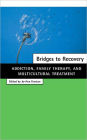 Bridges to Recovery: Addiction, Family Therapy, and Multicultural Treatment