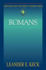 Alternative view 2 of Romans: Abingdon New Testament Commentaries