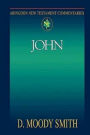 John: Abingdon New Testament Commentaries