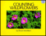 Counting Wildflowers