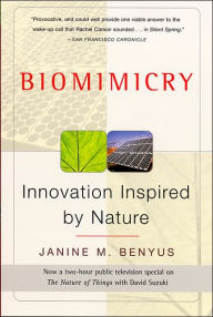 Biomimicry: Innovation Inspired by Nature