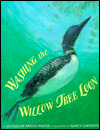 Washing the Willow Tree Loon