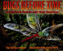 Alternative view 2 of Bugs Before Time: Prehistoric Insects and Their Relatives