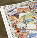 Alternative view 4 of Our 50 States: A Family Adventure Across America