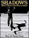 Shadows: Here, There, and Everywhere