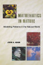 Mathematics in Nature: Modeling Patterns in the Natural World / Edition 1