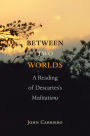 Between Two Worlds: A Reading of Descartes's Meditations