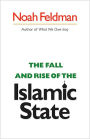 The Fall and Rise of the Islamic State