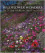 Wildflower Wonders: The 50 Best Wildflower Sites in the World