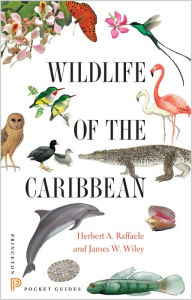 Title: Wildlife of the Caribbean, Author: Herbert A. Raffaele