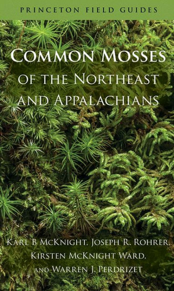 Common Mosses of the Northeast and Appalachians