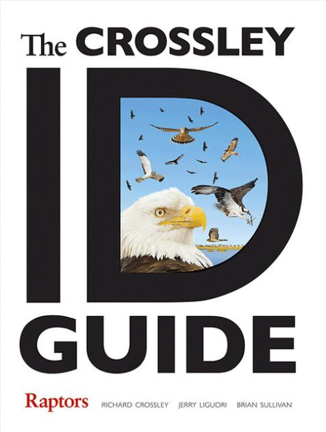 The Crossley ID Guide Raptors by Richard Crossley, Jerry Liguori, Brian L.  Sullivan, Paperback