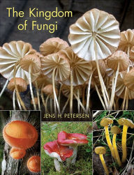 Title: The Kingdom of Fungi, Author: Jens Henrik Petersen