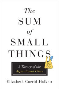 Title: The Sum of Small Things: A Theory of the Aspirational Class, Author: Elizabeth Currid-Halkett