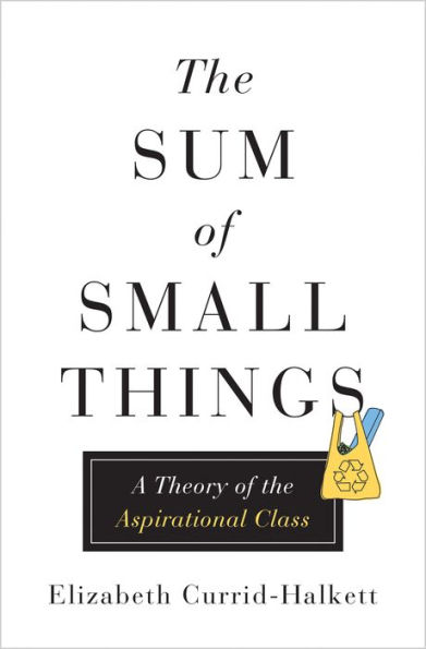 The Sum of Small Things: A Theory of the Aspirational Class