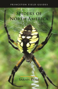 Title: Spiders of North America, Author: Sarah Rose